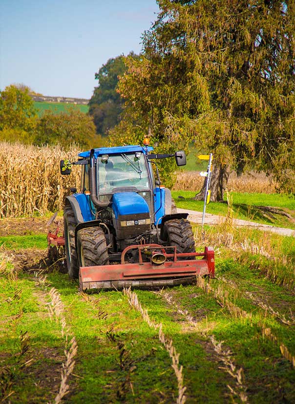 COME FARM Post-Harvest Value Addition