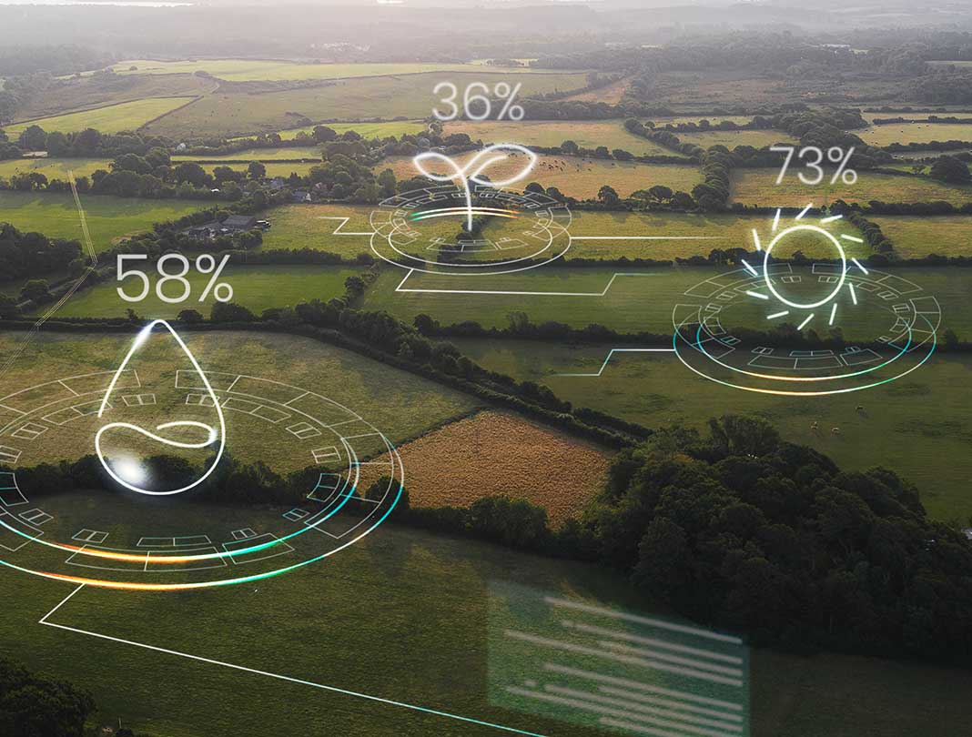 From Field Variability to Consistent Yield