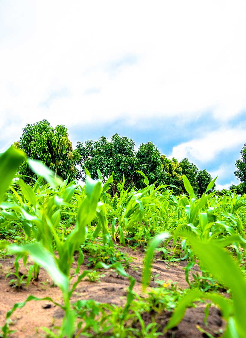 come farm precision farming